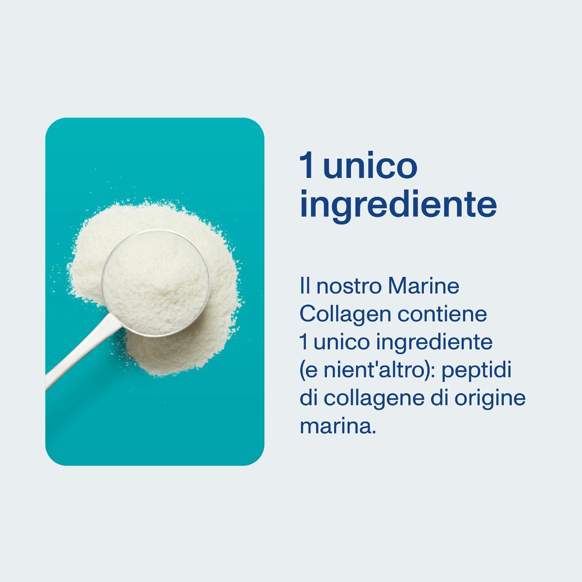 MARINE COLLAGEN Integratore di collagene neutro 2